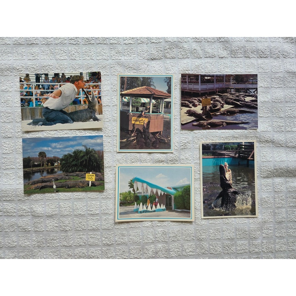 Vintage Gatorland Orlando Florida Postcard Lot 6 Alligator Wrestling Entrance